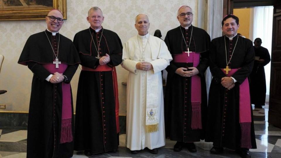 Presidência da CNBB e Papa Leão XIV/ Foto: Vatican Media