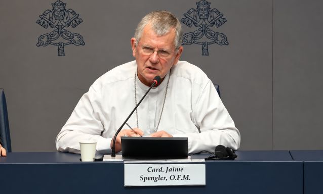 Bispos brasileiros discutem crise socioambiental em encontro em Roma